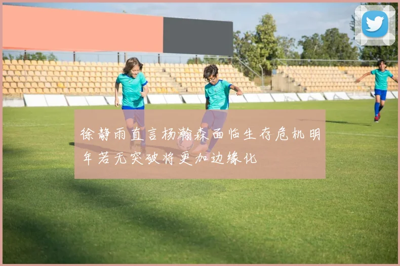 徐静雨直言杨瀚森面临生存危机明年若无突破将更加边缘化